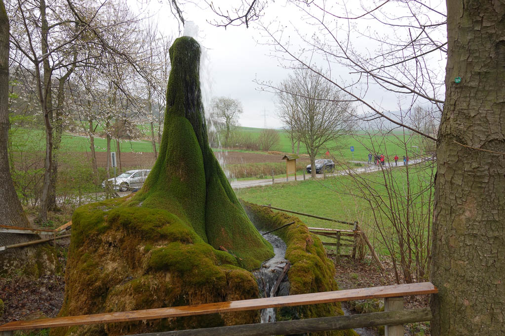 Naturdenkmal: Wasserbaum in Ockensen